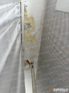 Иллюстрация 6