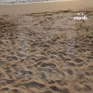 Нефть на пляжах Шри-Ланки после атаки на танкер