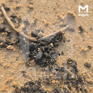 Иллюстрация 2