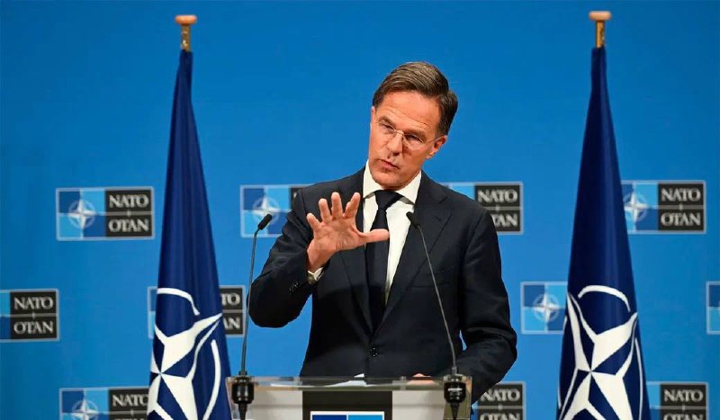 Иллюстрация 1