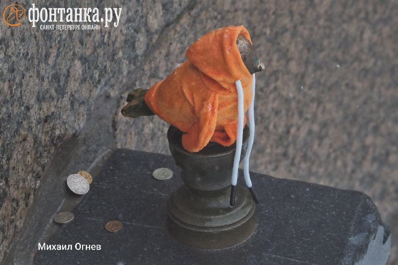 Чижик-пыжик и худи на Фонтанке