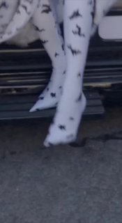 Иллюстрация 7