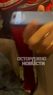 Иллюстрация 1