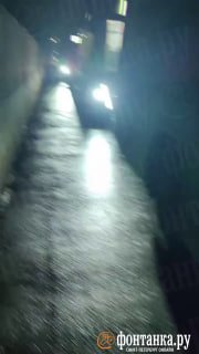 Иллюстрация 1