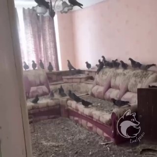 Воркутинец вернулся в квартиру с неприятным сюрпризом