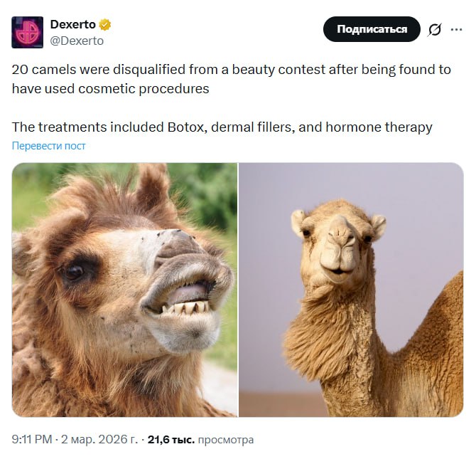 Иллюстрация 1