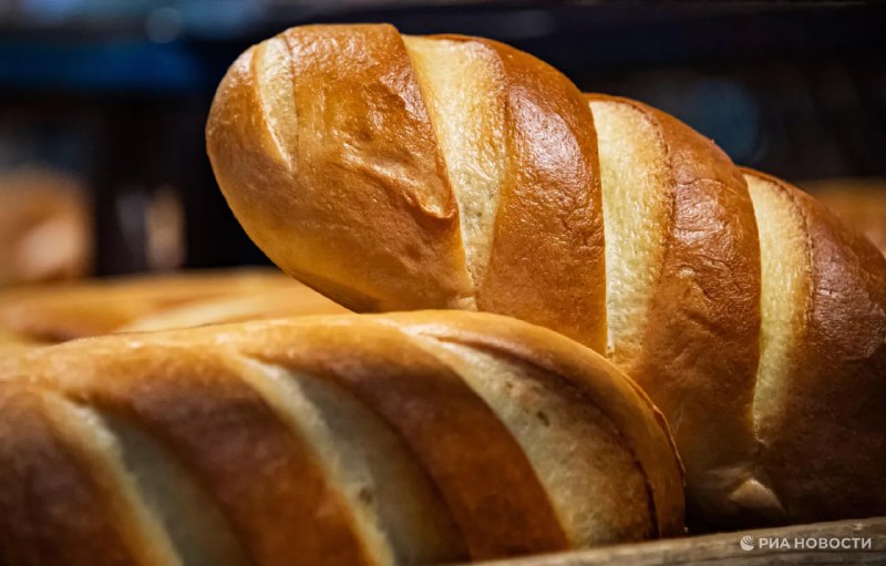 Новый ГОСТ на белый хлеб в России