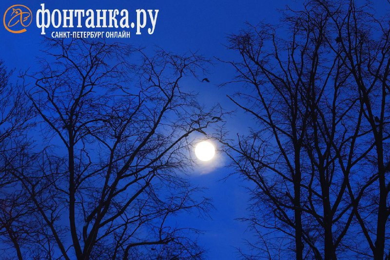 Погода в Петербурге: оттепель и гололедица