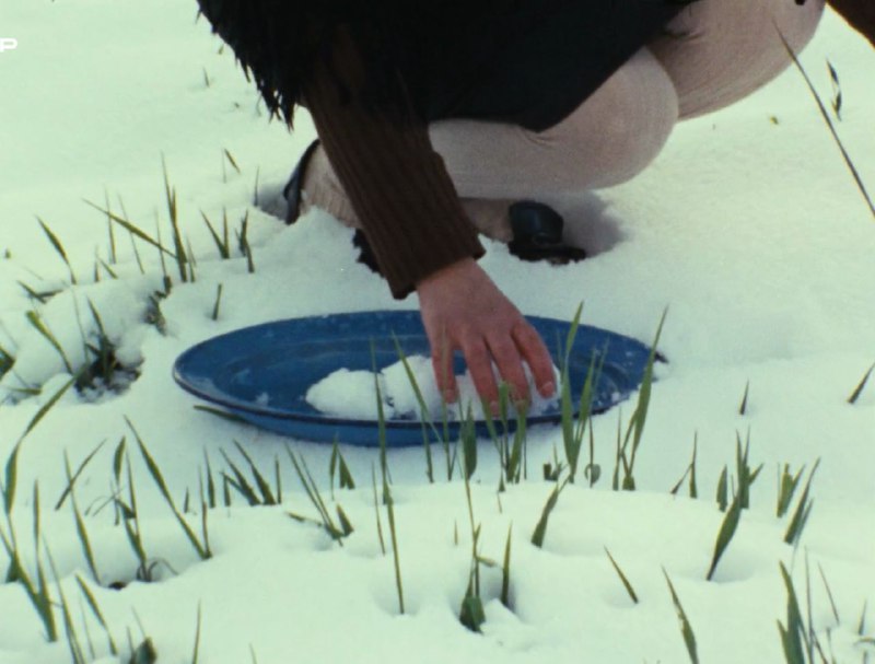 Иллюстрация 4