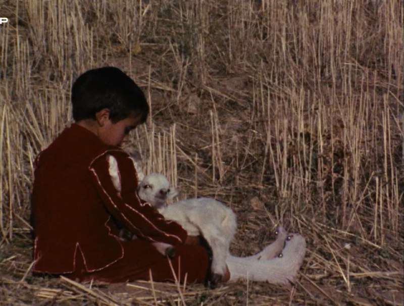 Иллюстрация 1