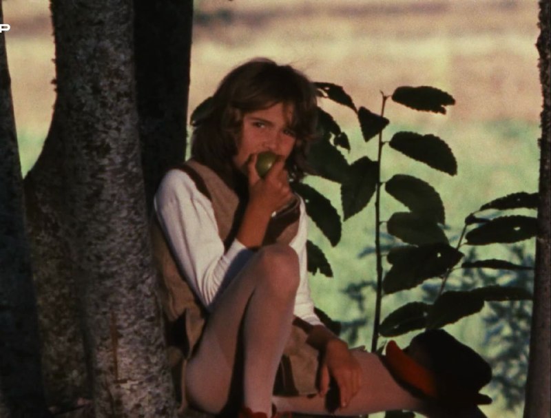 Иллюстрация 6