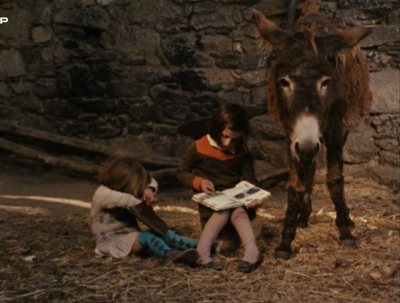 Иллюстрация 8