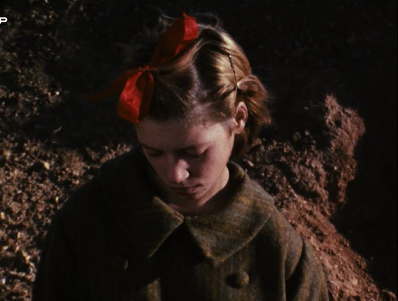 Иллюстрация 9