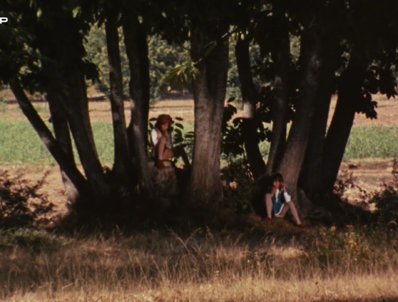 Иллюстрация 10