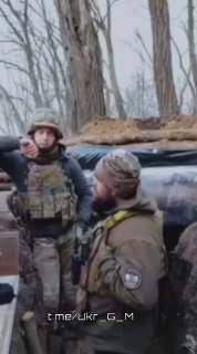 Иллюстрация 2