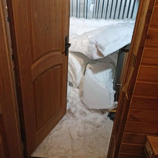 Приют «Тимошка» нуждается в помощи волонтеров для расчистки снега