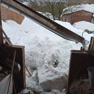 Иллюстрация 5