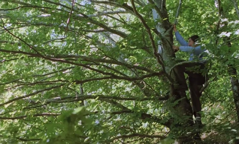 Иллюстрация 2