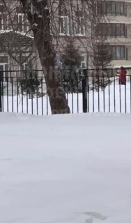 Иллюстрация 2