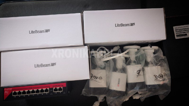 Иллюстрация 2