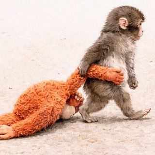 Иллюстрация 5