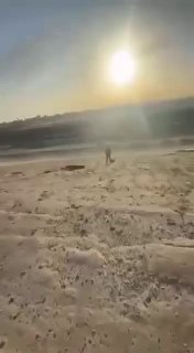 Иллюстрация 4