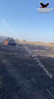 Обзор канала "Фронтовая птичка"