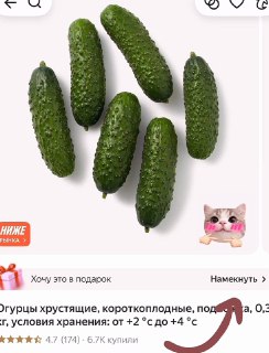 Огурцы как подарок на 8 марта