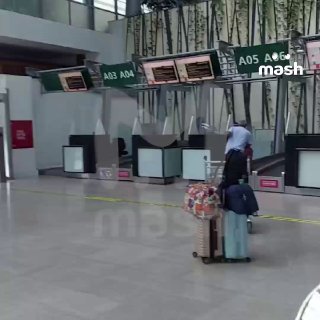 Иллюстрация 1