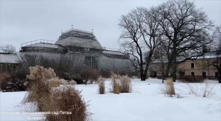 Весна в Петербурге наступила, несмотря на дождь