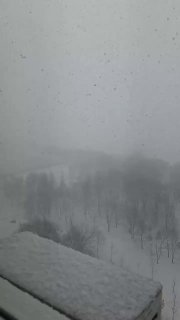 Иллюстрация 2