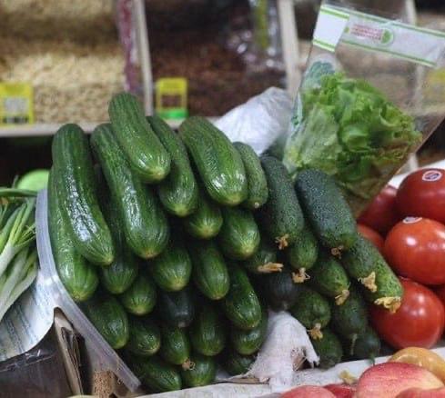 Огурцы в России не подорожают из-за конфликта на Ближнем Востоке