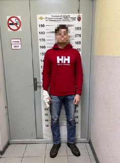 Иллюстрация 1