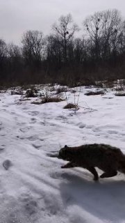 Иллюстрация 1