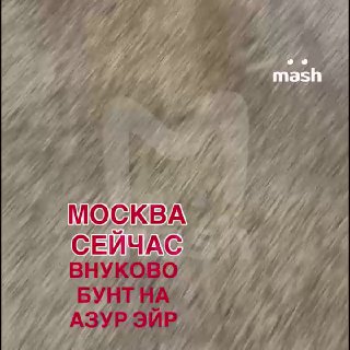 Иллюстрация 1