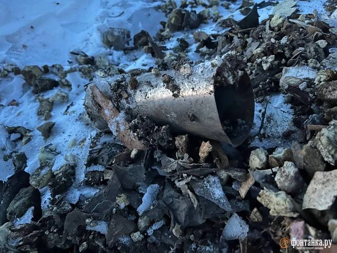 Иллюстрация 1