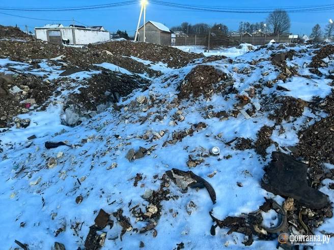 Иллюстрация 2