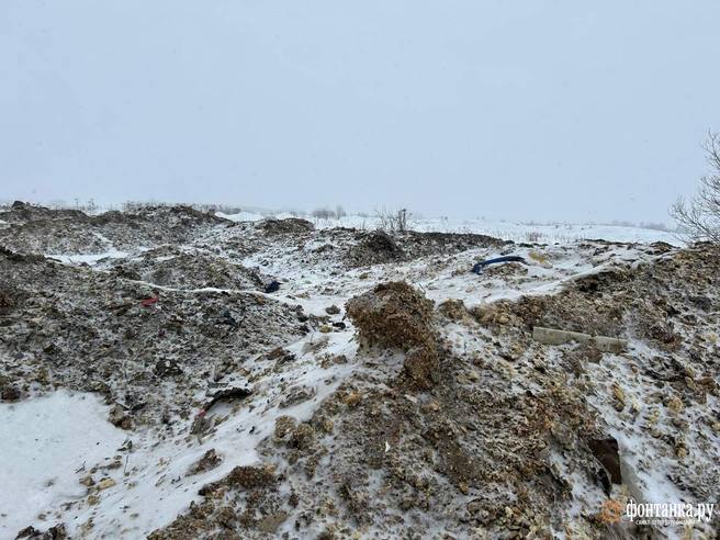Нелегальные свалки в Ленобласти