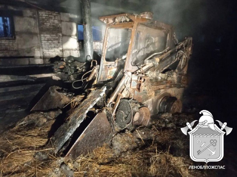 Иллюстрация 1