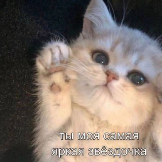 Комплименты снижают стресс, утверждают врачи