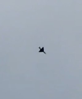 Иллюстрация 3