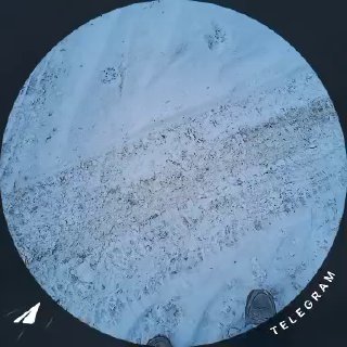 Власти Хабаровска запретили митинг «За свободный интернет»