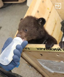 Иллюстрация 2