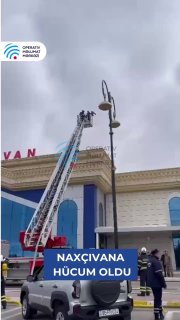 Иллюстрация 1