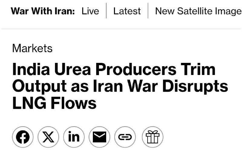 Иллюстрация 2