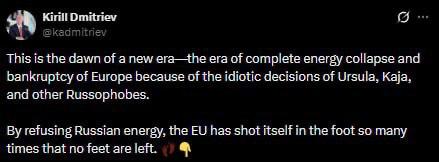 Европа на пороге энергетического коллапса – спецпредставитель президента РФ