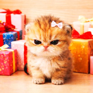 Неудачные и желанные подарки на 8 марта