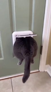 Мем о сохранении спокойствия