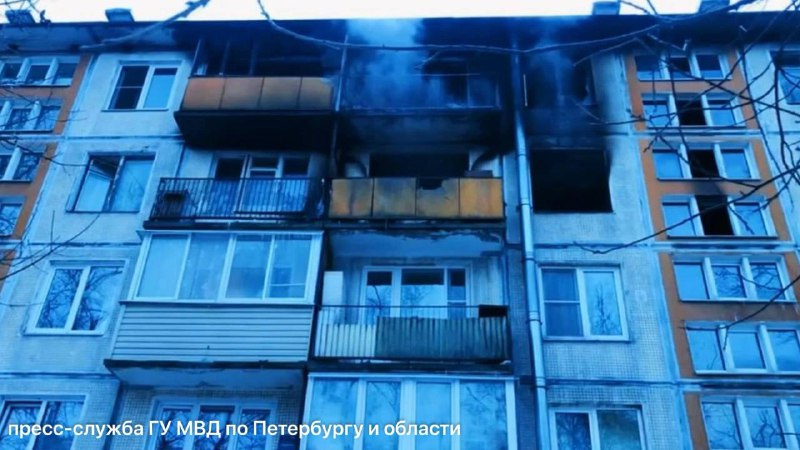 Иллюстрация 1