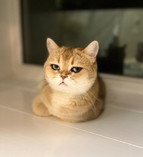 Иллюстрация 2